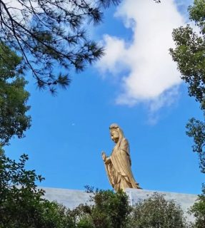 7月15日 | 宁波古佛道场暨普陀山朝礼游学体验之旅5天4夜【蝉友圈.佛旅网】