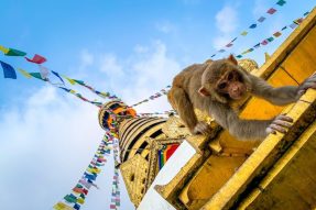 朝礼神秘光明刹土——尼伯尔不丹朝圣游学之旅纪实报道（一）│蝉友圈·佛旅网