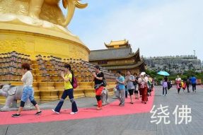 8月7日成都峨眉山乐山大行朝礼游学体验之旅5天4夜 | 蝉友圈·佛旅网