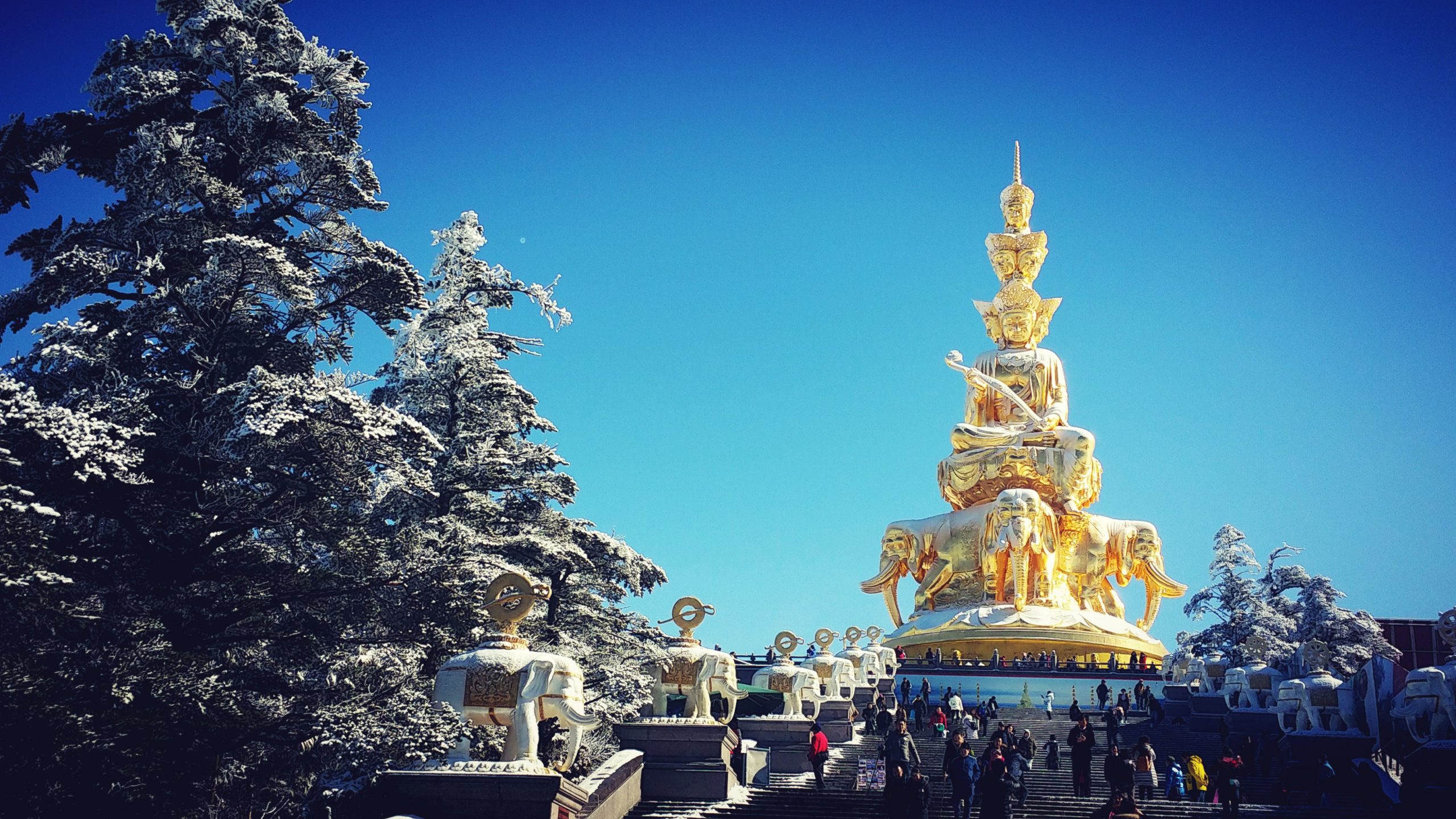 【禅素游学】弥陀诞1月2日峨眉山乐山普贤大行禅素游学体验之旅5天（领队果证）