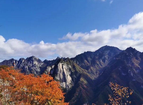 8月12日西安终南山法门寺六大宗派祖庭隐修茅棚朝礼6天