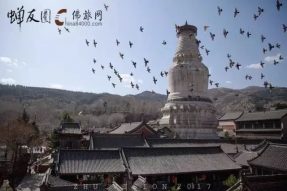 五台山大朝台小朝台外朝台祈福朝礼游学体验之旅7天6夜【蝉友圈·佛旅网】