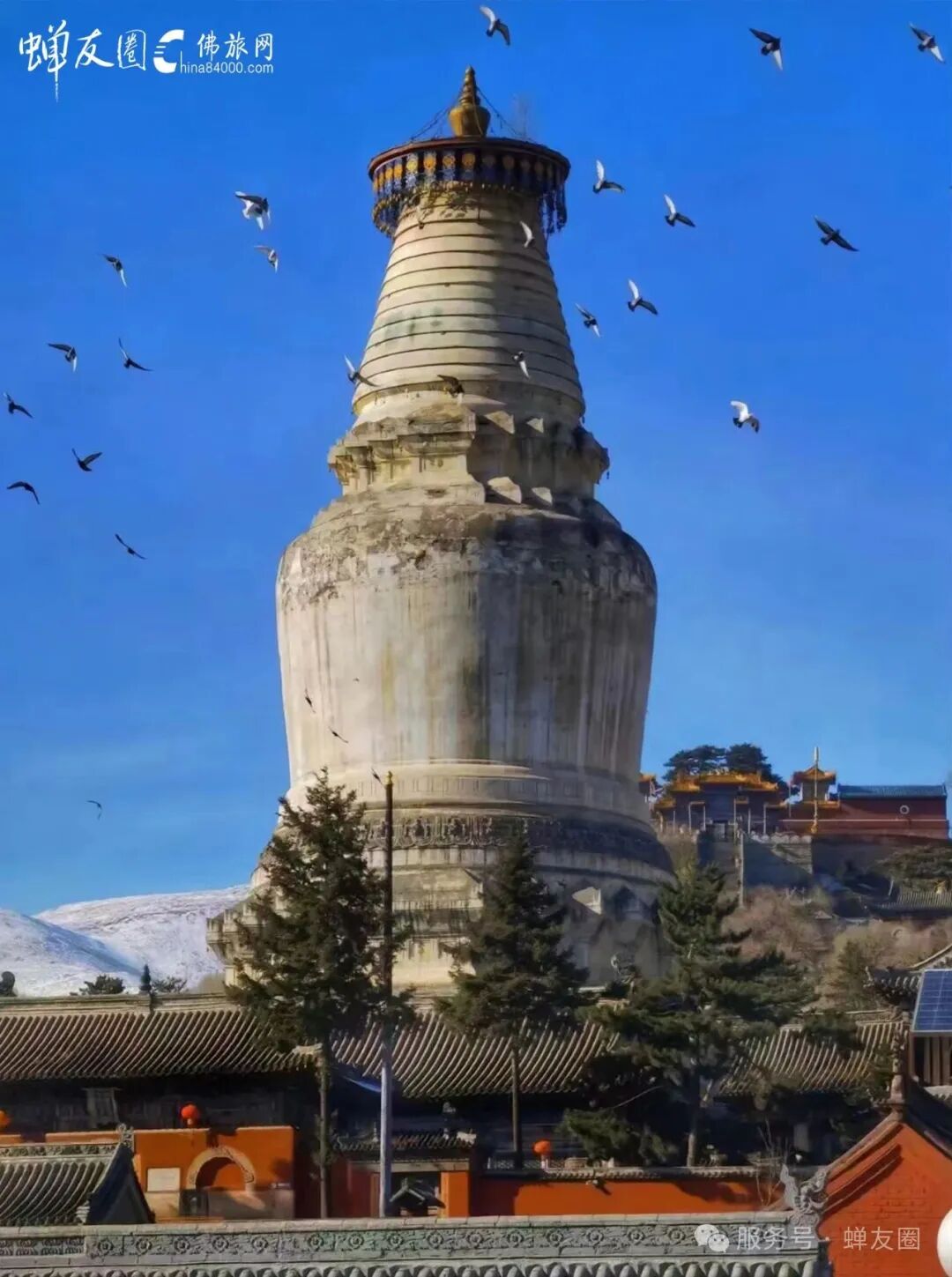 7月11日 山西五台山观光朝礼游学之旅5天4夜