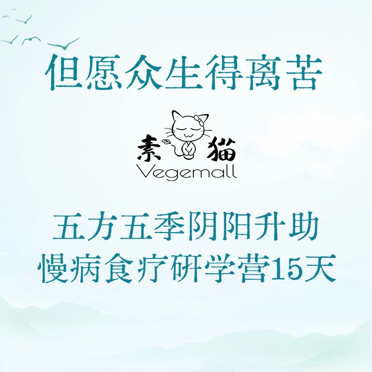 【禅素康养】12月2日素食医道康养研学营