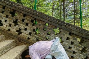 念念不忘，必有回响 | 蝉友圈2026文殊诞五台山朝圣征文——优秀奖