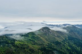 6月12日湖南衡山南岳文化暨禅净台法脉朝山礼祖游学之旅