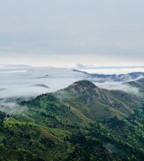 6月12日湖南衡山南岳文化暨禅净台法脉朝山礼祖游学之旅