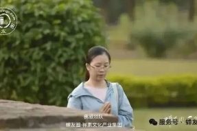 核心团队