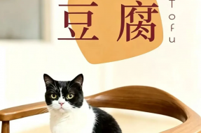 素食小店投资策略：产品精、店面小、市场准